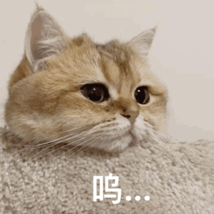 丝袜辣妈的日常生活笔趣阁免费
