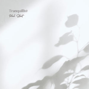 丝袜辣妈的日常生活笔趣阁免费
